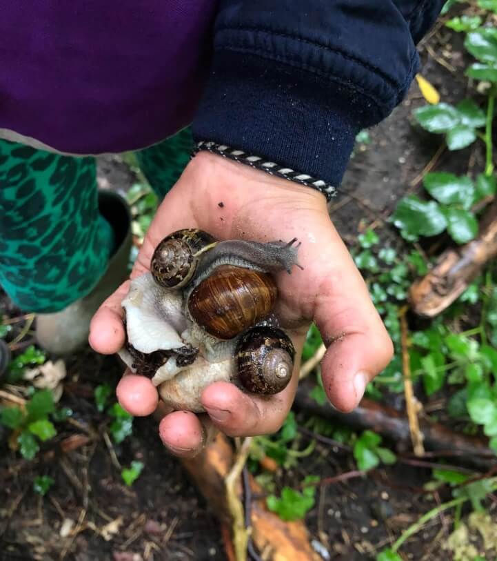 Kind houdt slakken vast op de outdoor bso
