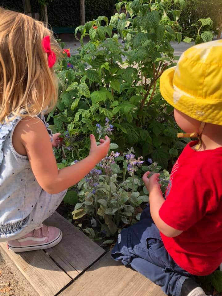 Children looking at the plants in de garden of the daycare
