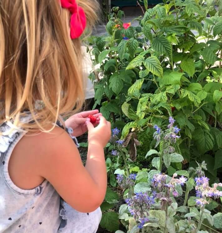 Kind bekijkt planten in de tuin op de dagopvang