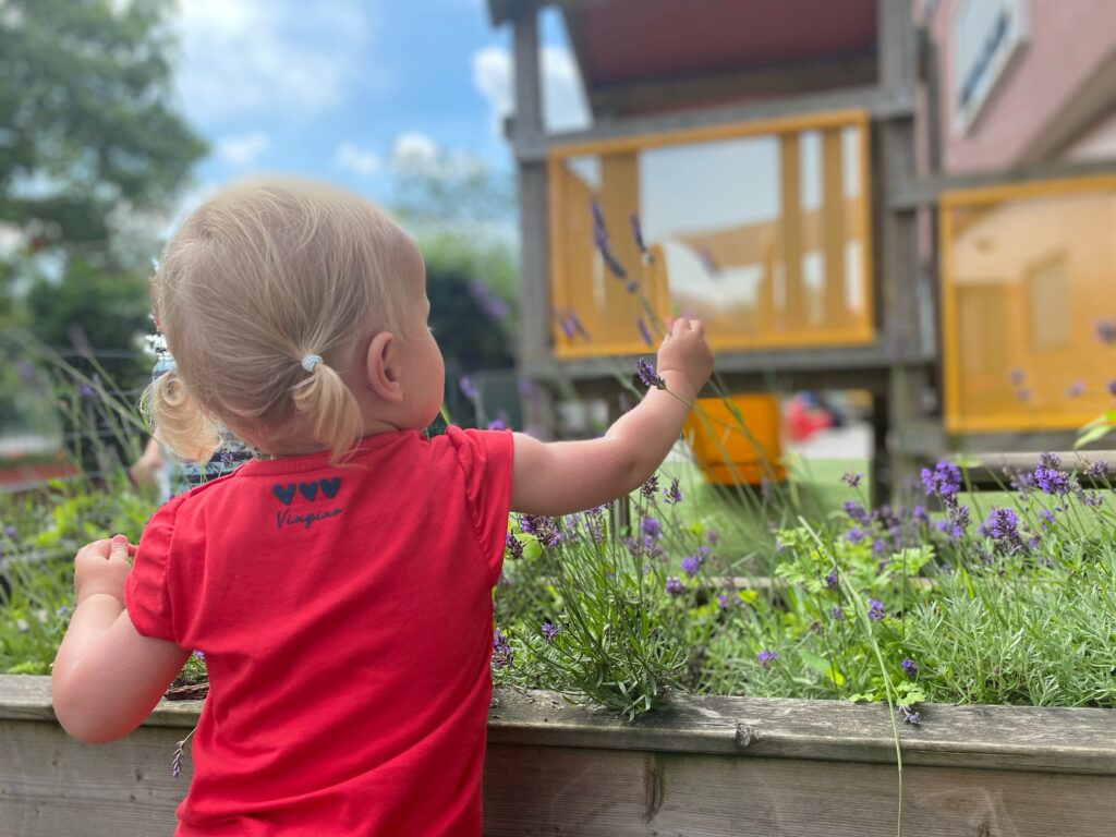 Klein meisje pakt een steeltje van de lavendel vast