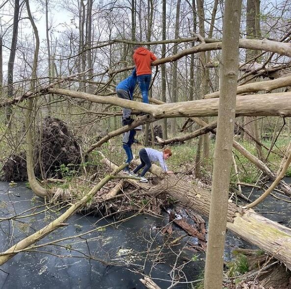 kinderen spelen in het bos en klimmen op de boomstam