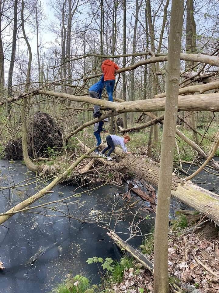 Klimmen en klauteren in het bos met de BSO