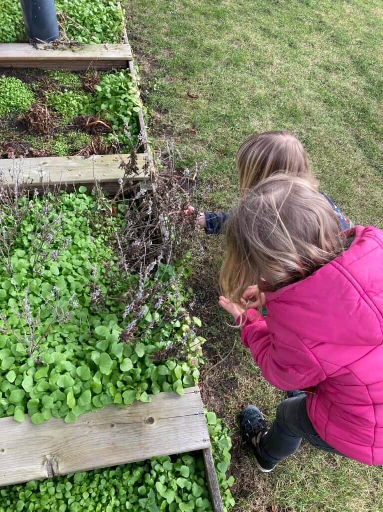 Kinderen kijken naar de moestuin bij Zo in de Watertoren