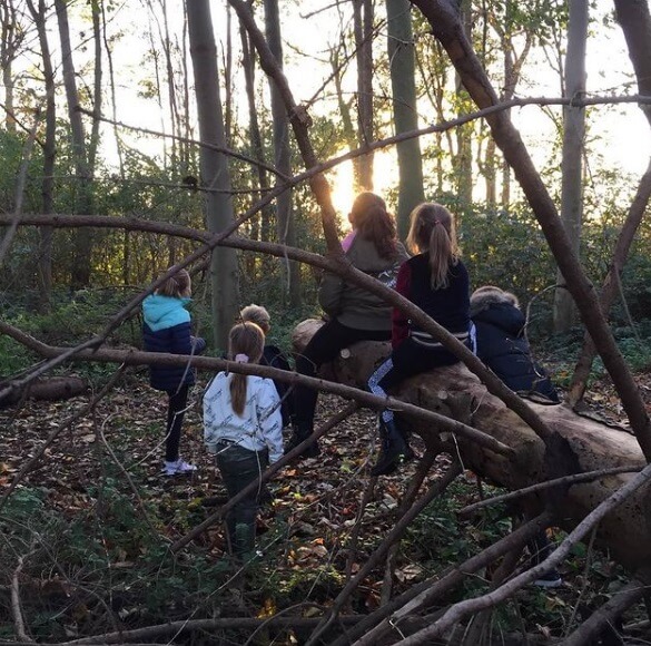 Spelen in het bos tijdens een uitje met Zo op Gummarus