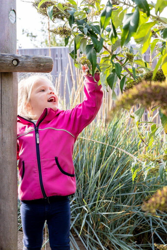 Kind kijkt naar de blaadjes van een plant