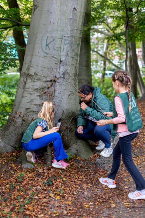 Kinderen en pedagogisch medewerker kijken samen naar een boom in de natuur