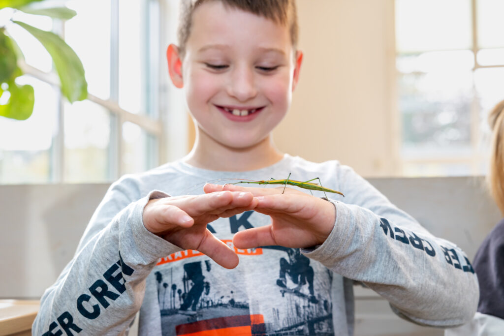 Lachend kind speelt met wandelende tak op de bso