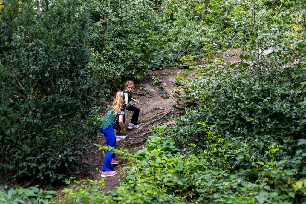 Two children climbing in the woods during after school care