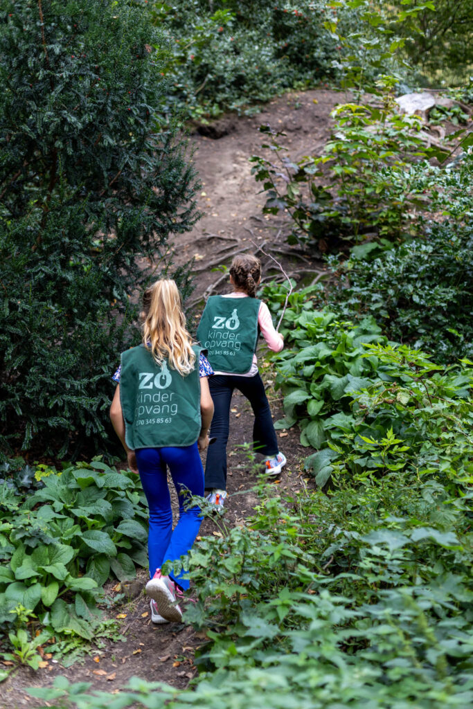 Kinderen van BSO Zo Kinderopvang spelen in het bos en klimmen een heuvel op